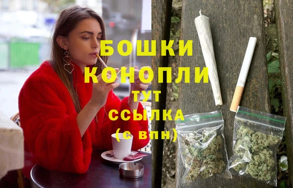 дживик Няндома