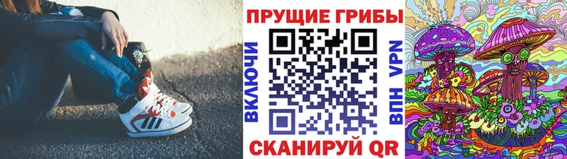 Купить где Коммунар Псилоцибиновые грибы прущие грибы